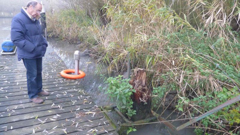zuidhaven20121113001.jpg